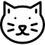 Γάτα