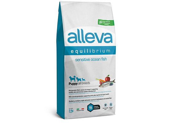 Equilibrium  SENSITIVE OCEAN FISH PUPPY ALL BREEDS DOG