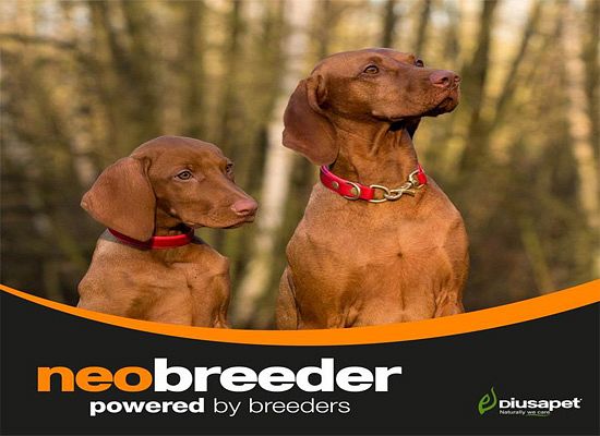 Neobreeder Professional mini puppy 20kgr