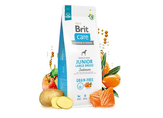 Junior large breed salmon Grain free 