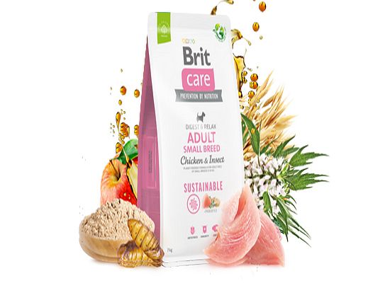 Sustainable Adult Small CHICKEN & INSECT
