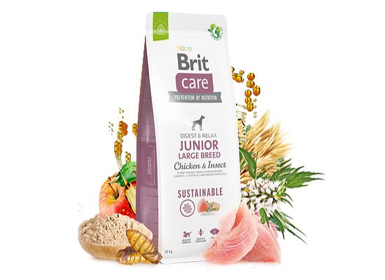 Sustainable Dog Junior Large CHICKEN & INSECT