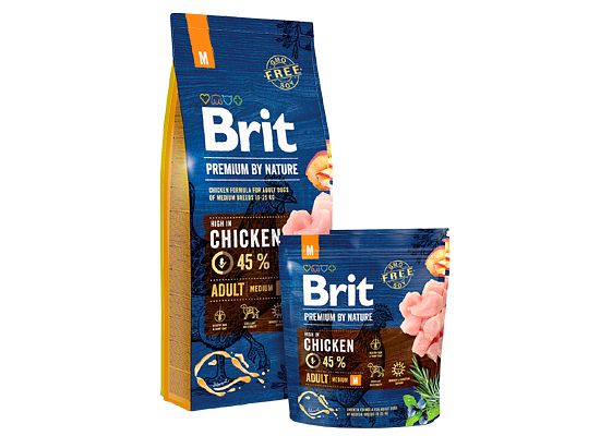 ADULT medium breeds