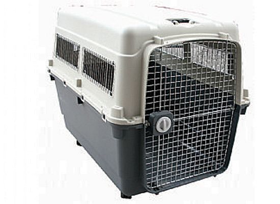 Mεταφοράς Cargo XL