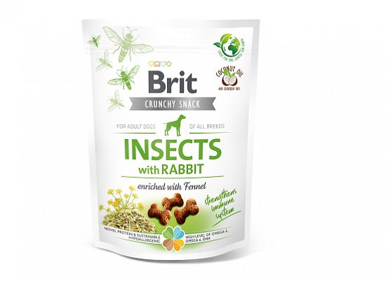 Snack Crunchy Cracker Insects 