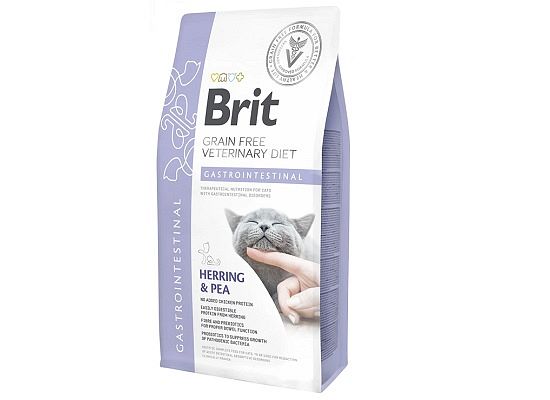 Cat Gastrointestinal 