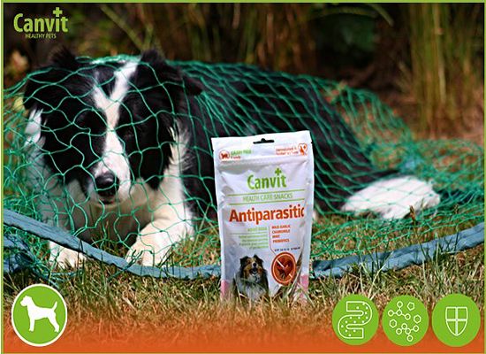 Antiparasitic snack