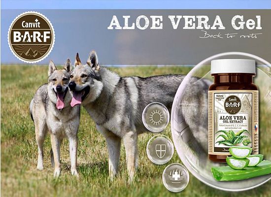 B.A.R.F Aloe Vera Gel Extract