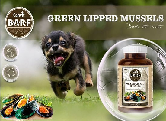 Green Lipped mussel