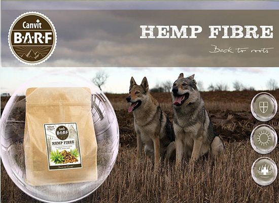 HEMP FIBRE