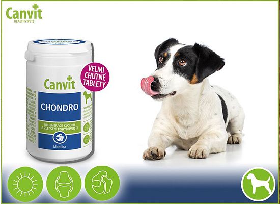 Hondro