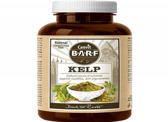 Kelp