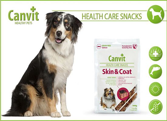 Skin & Coat snack