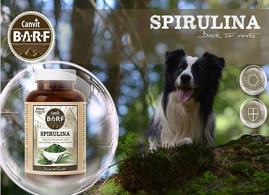 Spirulina