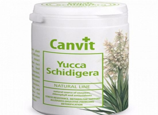 Yucca Schidigera