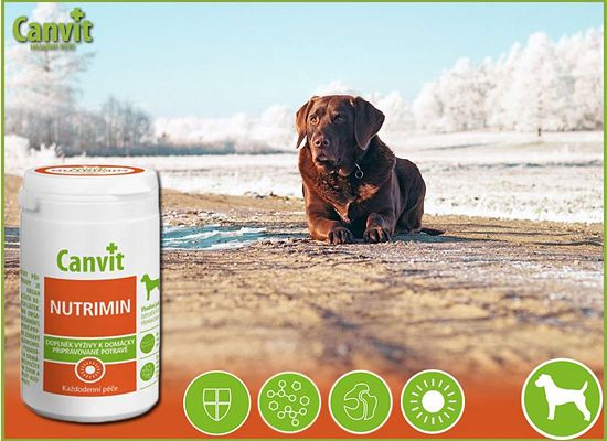  Nutrimin 