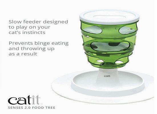 Senses 2.0 Food Tree