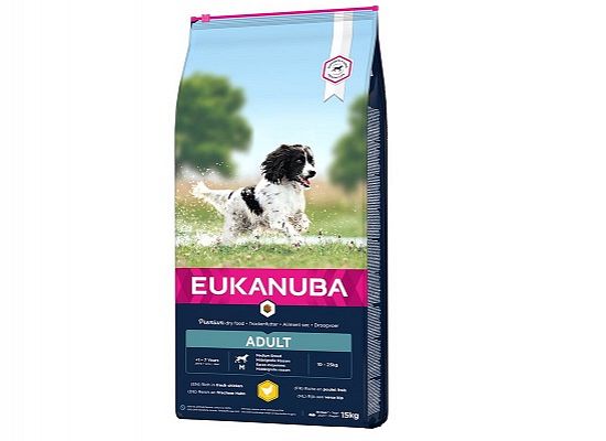 Adult Medium Breed Κοτόπουλο