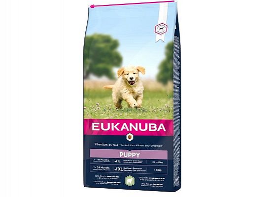 Puppy Large Breed Αρνί & Ρύζι