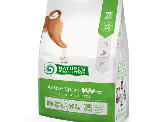 Active Sport