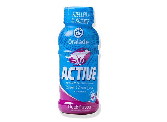 ACTIVE DUCK