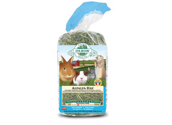 Χόρτο Alfalfa Hay