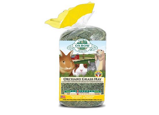Χόρτο Orchard Grass Hay