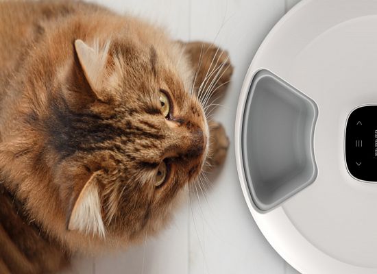 Έξυπνη Ταΐστρα NutriSpin 6 Θέσεων (Λευκό)