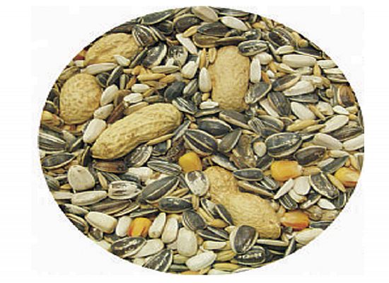 Expert Witte Molen Parrot mixture Prima. Για παπαγαλάκια.