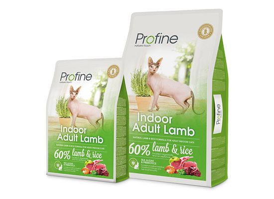 Indoor Adult Lamb