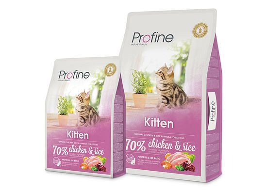 Kitten cats.