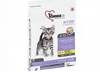 Kitten 2-12 Months 