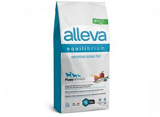 Equilibrium  SENSITIVE OCEAN FISH PUPPY ALL BREEDS DOG