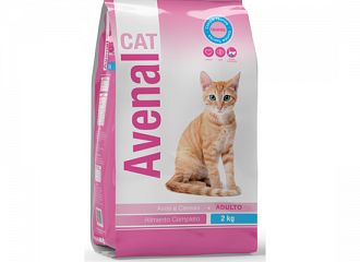 CAT CARNE