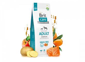 Adult Salmon Grain free