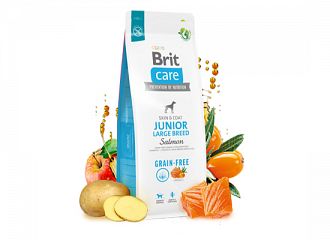 Junior large breed salmon Grain free 