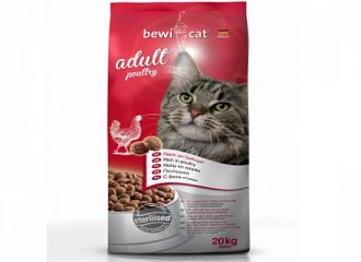 Adult poultry