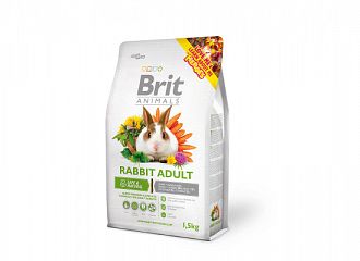 RABBIT ADULT