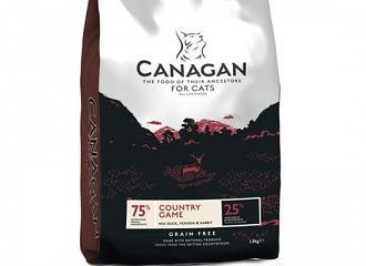Country Game For Cats 