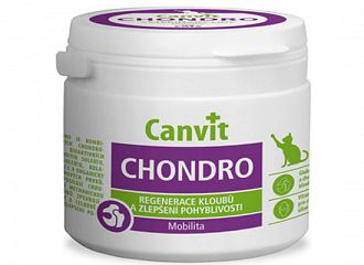 CAT CHONDRO.