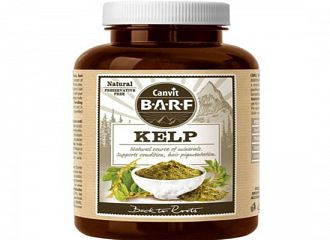 Kelp