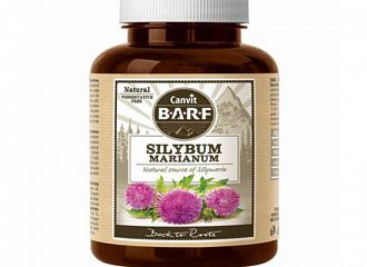 Silybum Marianum