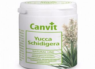 Yucca Schidigera
