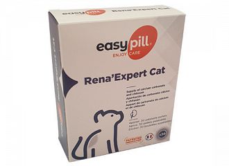 Rena Expert Cat