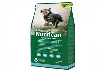 Junior Large Breeds.