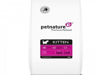 KITTEN petnature