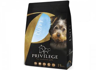  Puppy Small Breeds 2-12 Months 