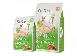 Indoor Adult Lamb