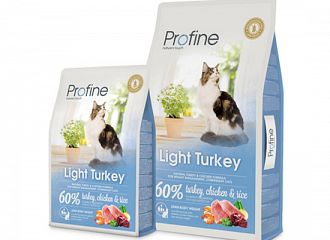 Light with Turkey 