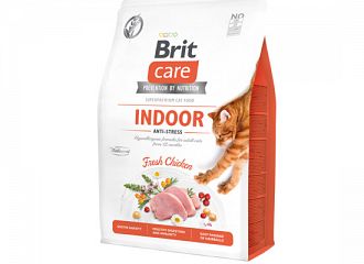 Indoor Grain Free